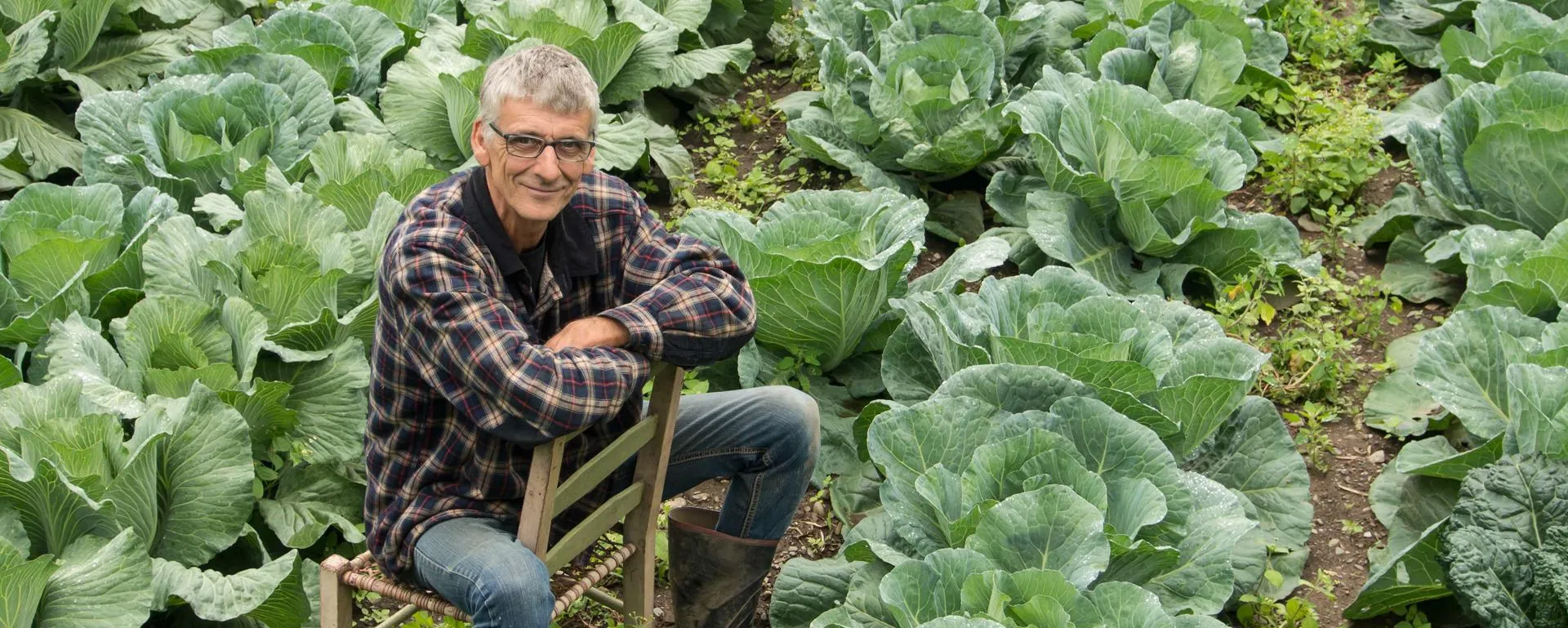 Robin Fortin, fermier de la Ferme de la Berceuse, assis sur une chaise de bois au milieu d’un champ de choux