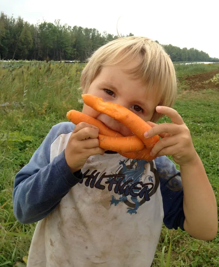 Émile, un jeune garçon, s’amuse avec des carottes devant un champ