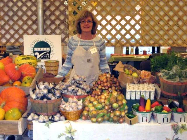 Étal du marché avec ail, oignons, courges et poivrons, devant l’affiche Québec Vrai